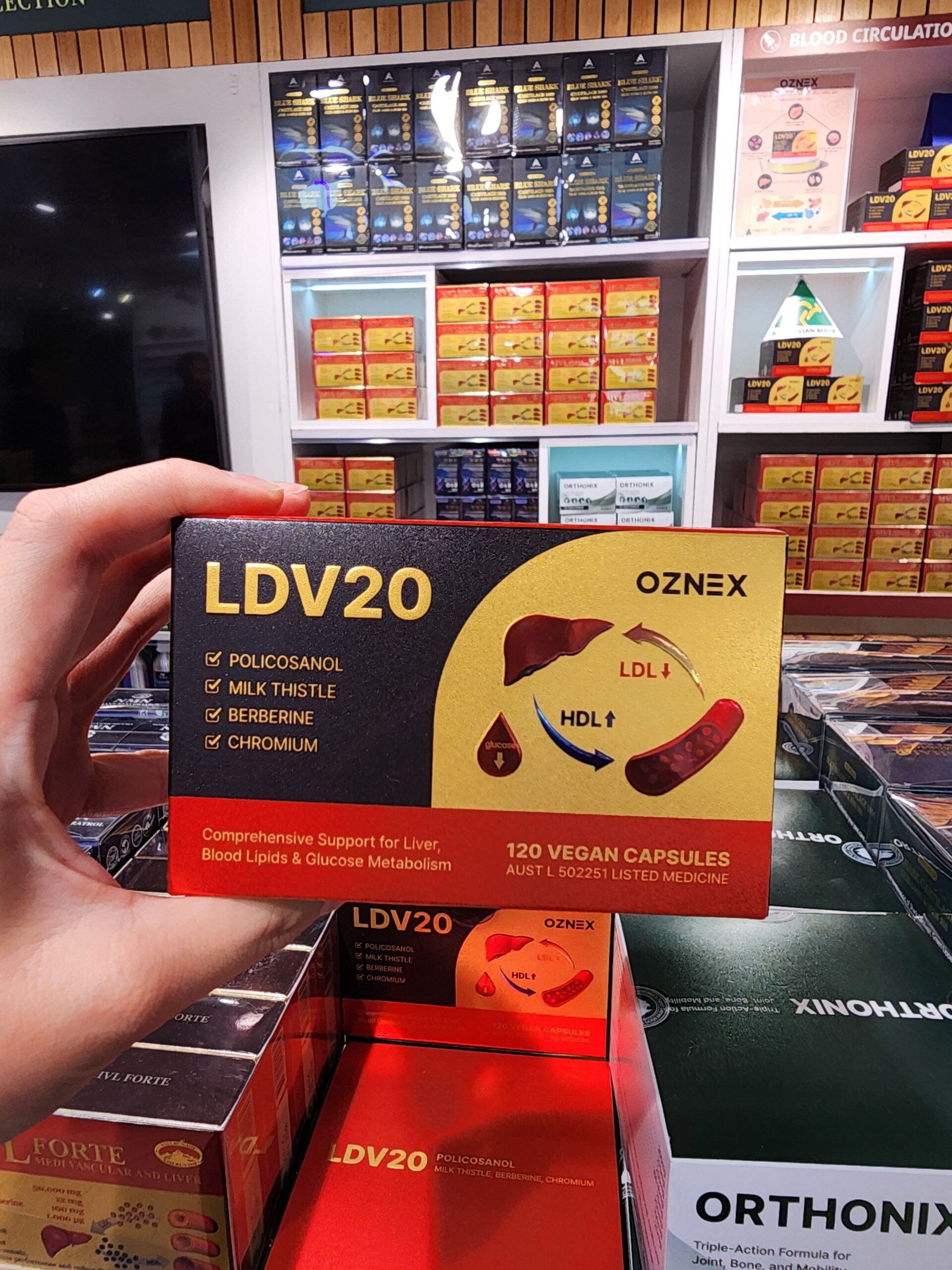 LDV20 부모님 선물