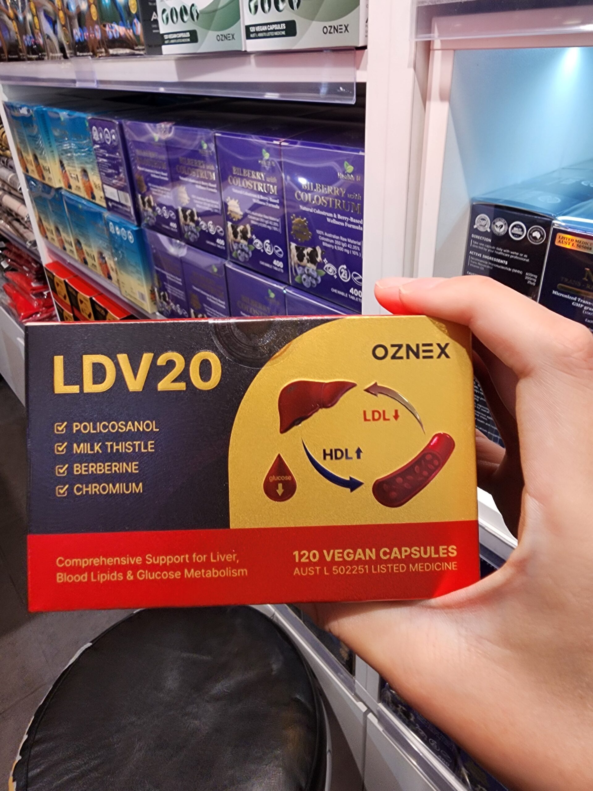 LDV20 부모님 선물