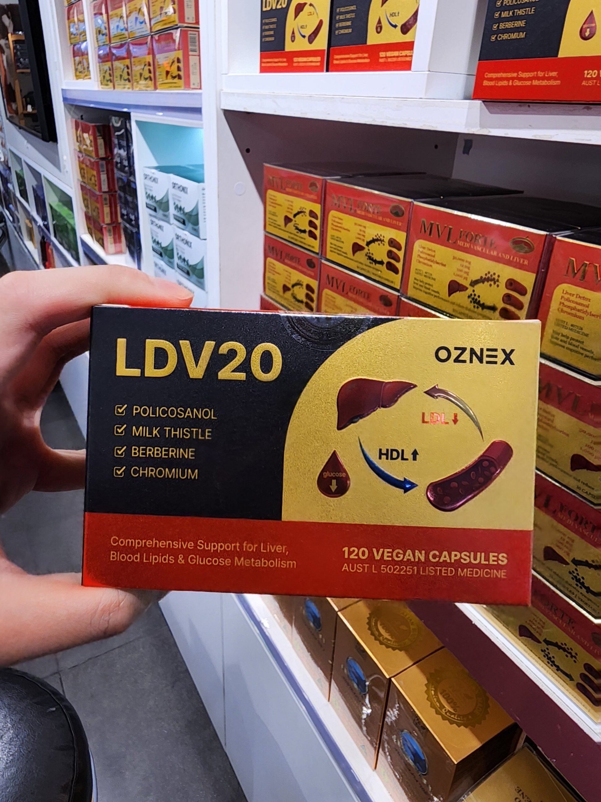 LDV20 부모님 선물